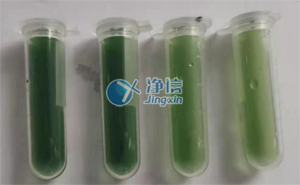 美超微量超聲波細(xì)胞破碎儀破碎微囊藻實驗